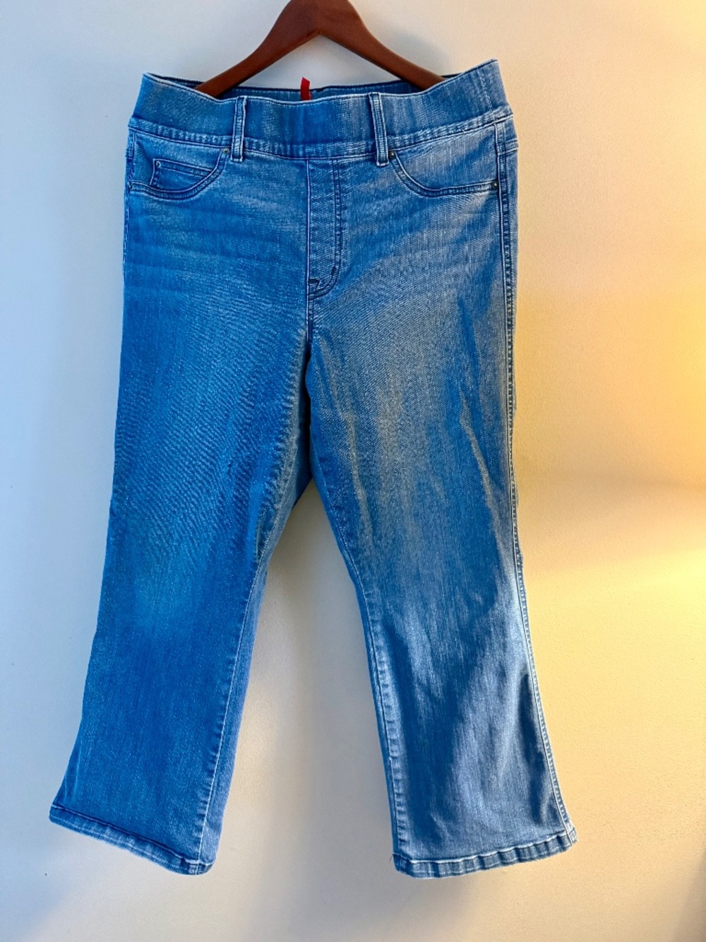 Spanx Jeans size 1x